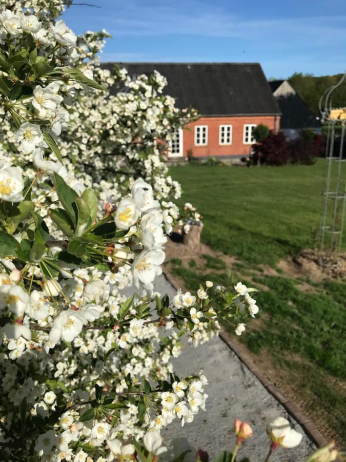 Brorup Kjaersgaard, Hygge, Ro, Natur Og Landliv Skanderborg Buitenkant foto