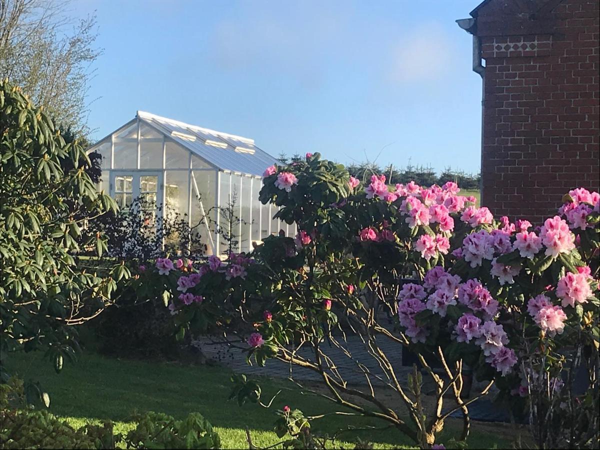 Brorup Kjaersgaard, Hygge, Ro, Natur Og Landliv Skanderborg Buitenkant foto