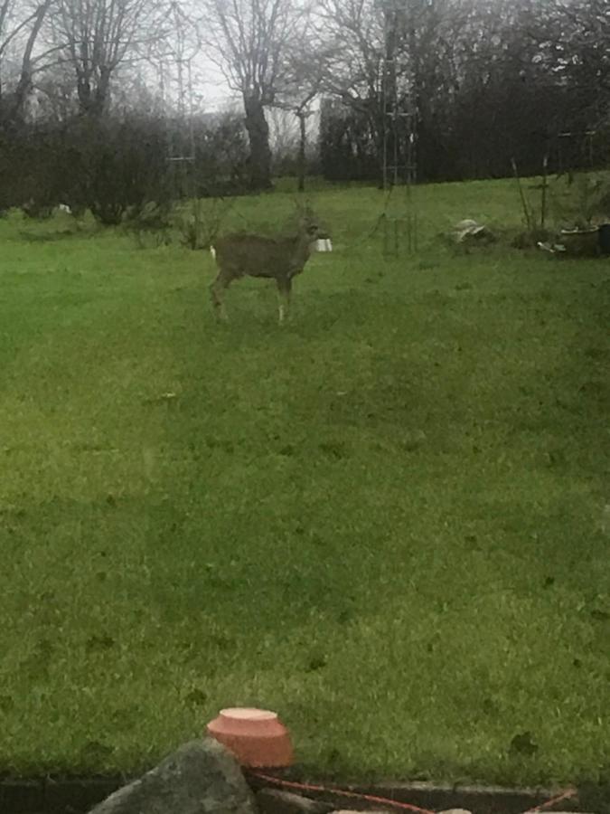 Brorup Kjaersgaard, Hygge, Ro, Natur Og Landliv Skanderborg Buitenkant foto