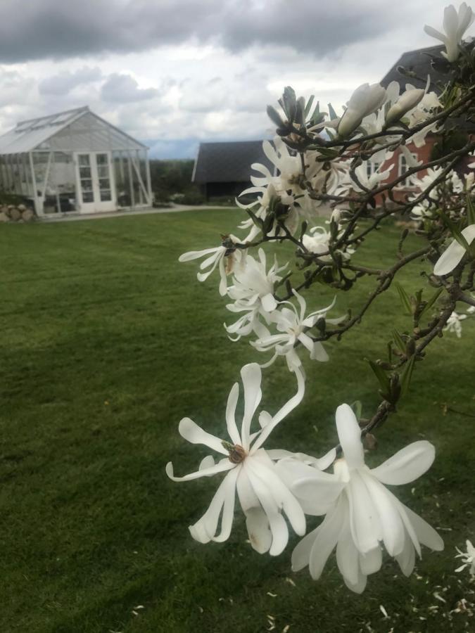 Brorup Kjaersgaard, Hygge, Ro, Natur Og Landliv Skanderborg Buitenkant foto