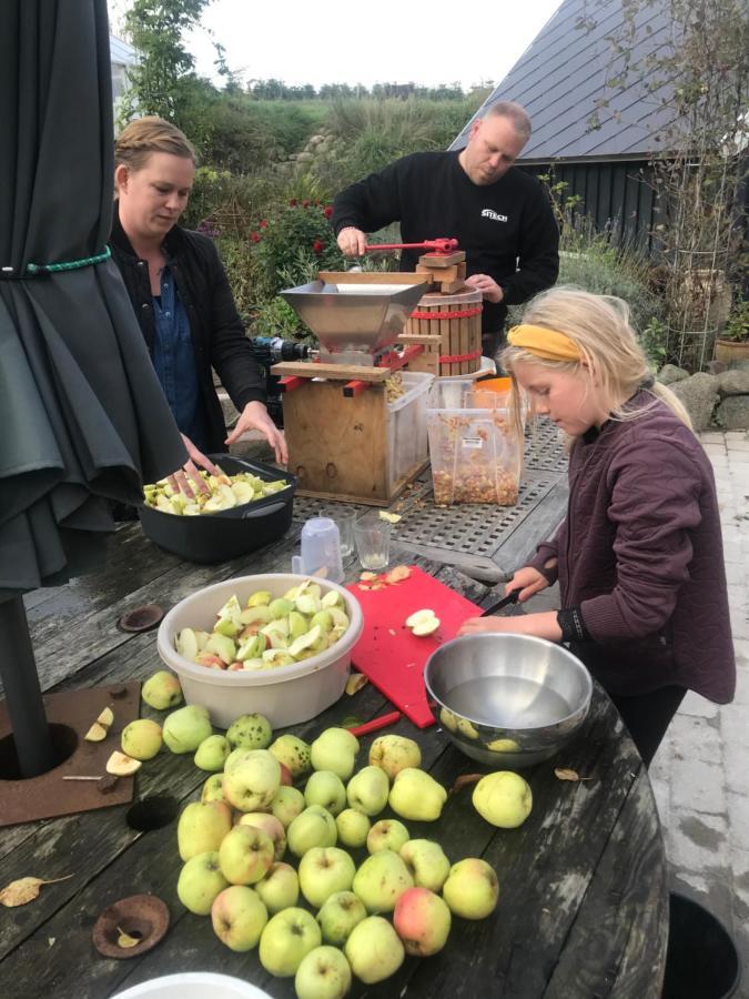 Brorup Kjaersgaard, Hygge, Ro, Natur Og Landliv Skanderborg Buitenkant foto