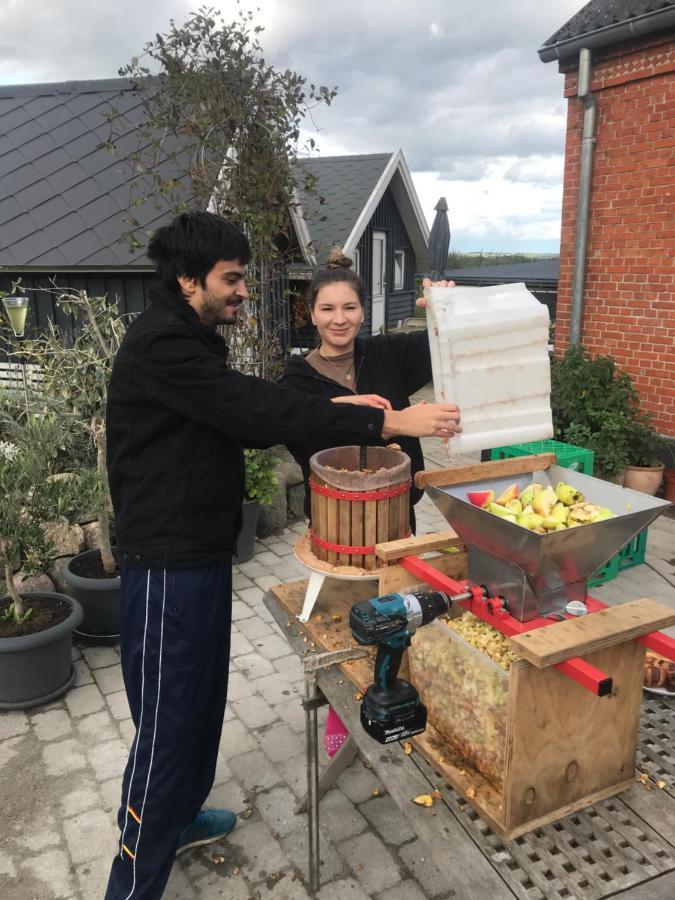 Brorup Kjaersgaard, Hygge, Ro, Natur Og Landliv Skanderborg Buitenkant foto
